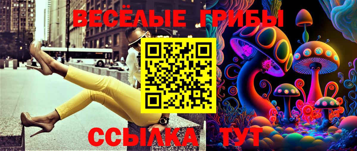 Псилоцибиновые грибы мицелий  Псилоцибиновые грибы Cubensis  Вход с VPN  Железногорск 