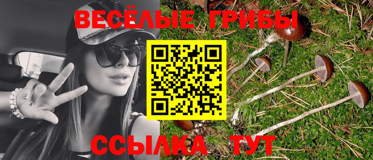 Псилоцибиновые грибы Psilocybe Железногорск